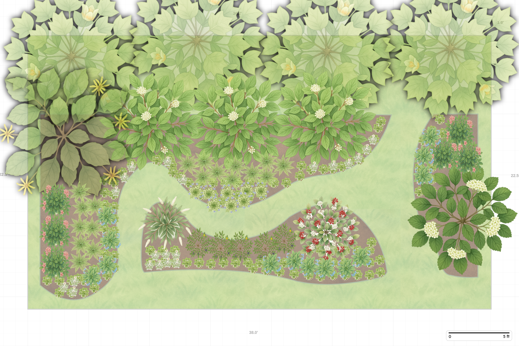 Illinois Woodland Garden
