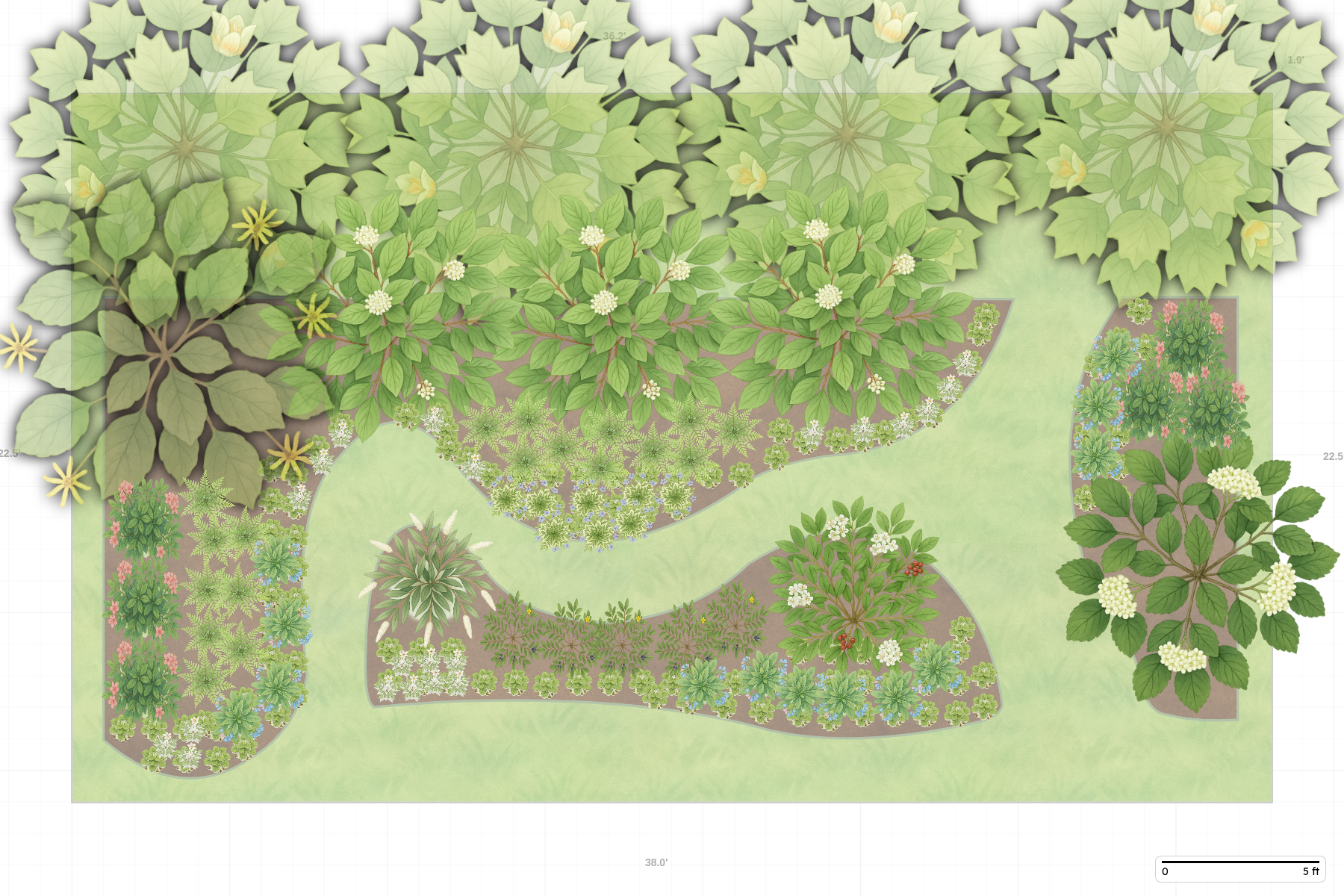 Illinois Woodland Garden