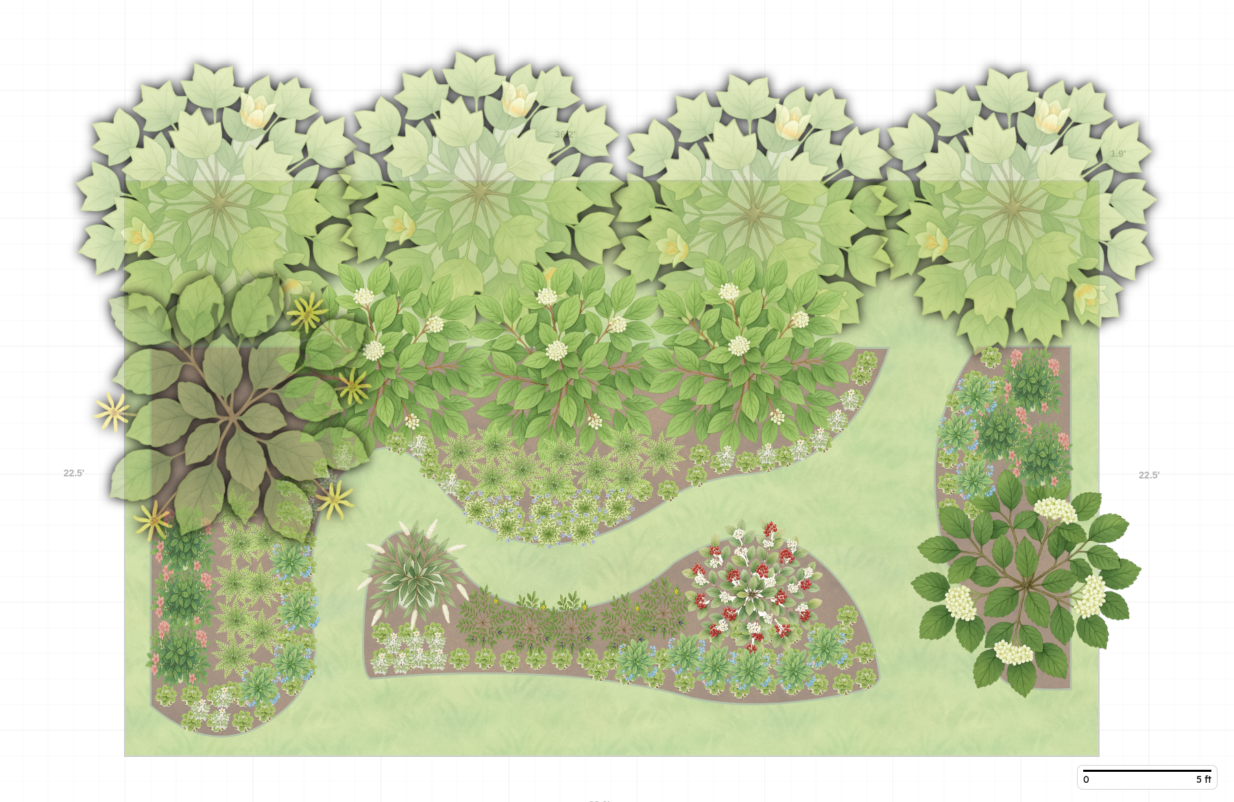 Illinois Woodland Garden