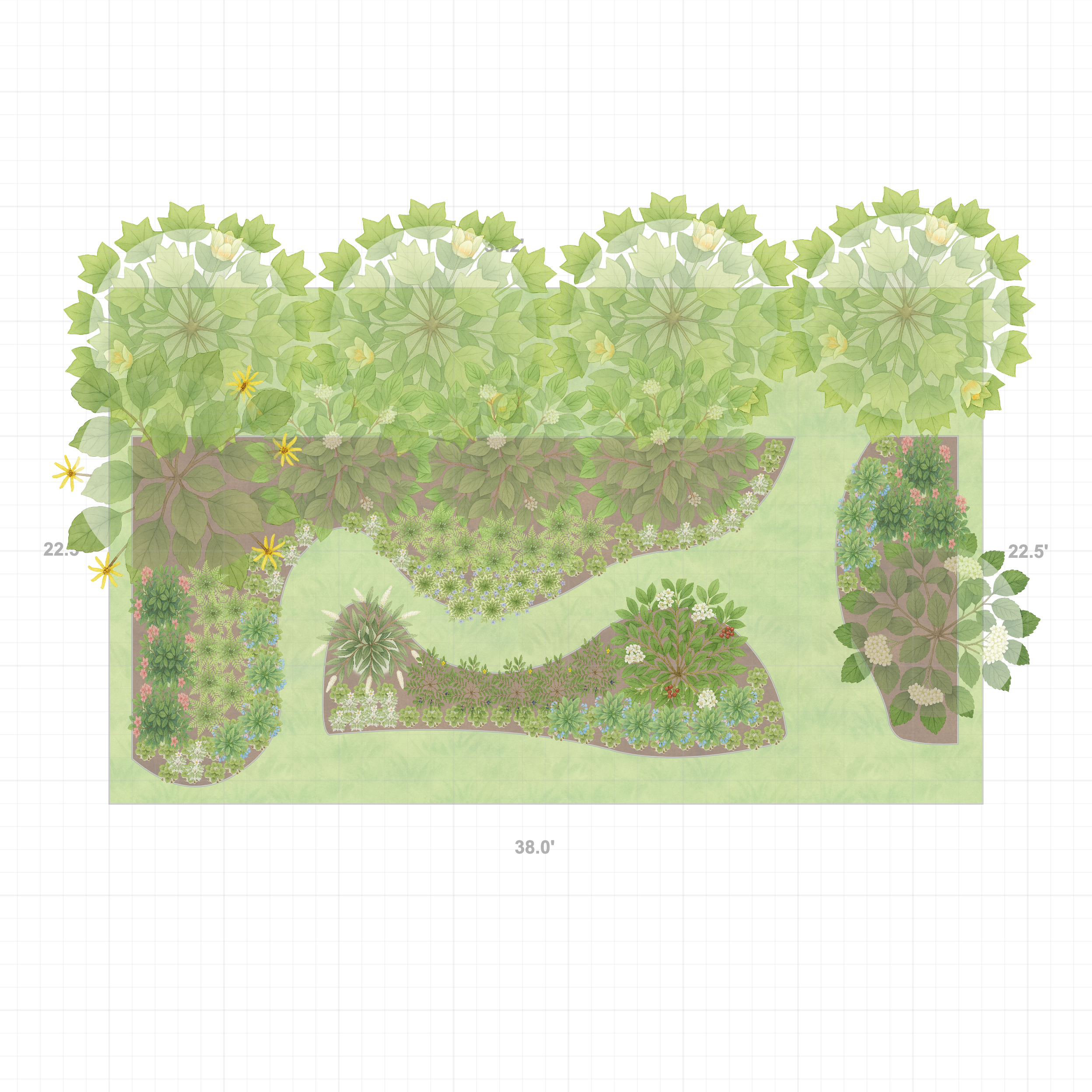 Illinois Woodland Garden