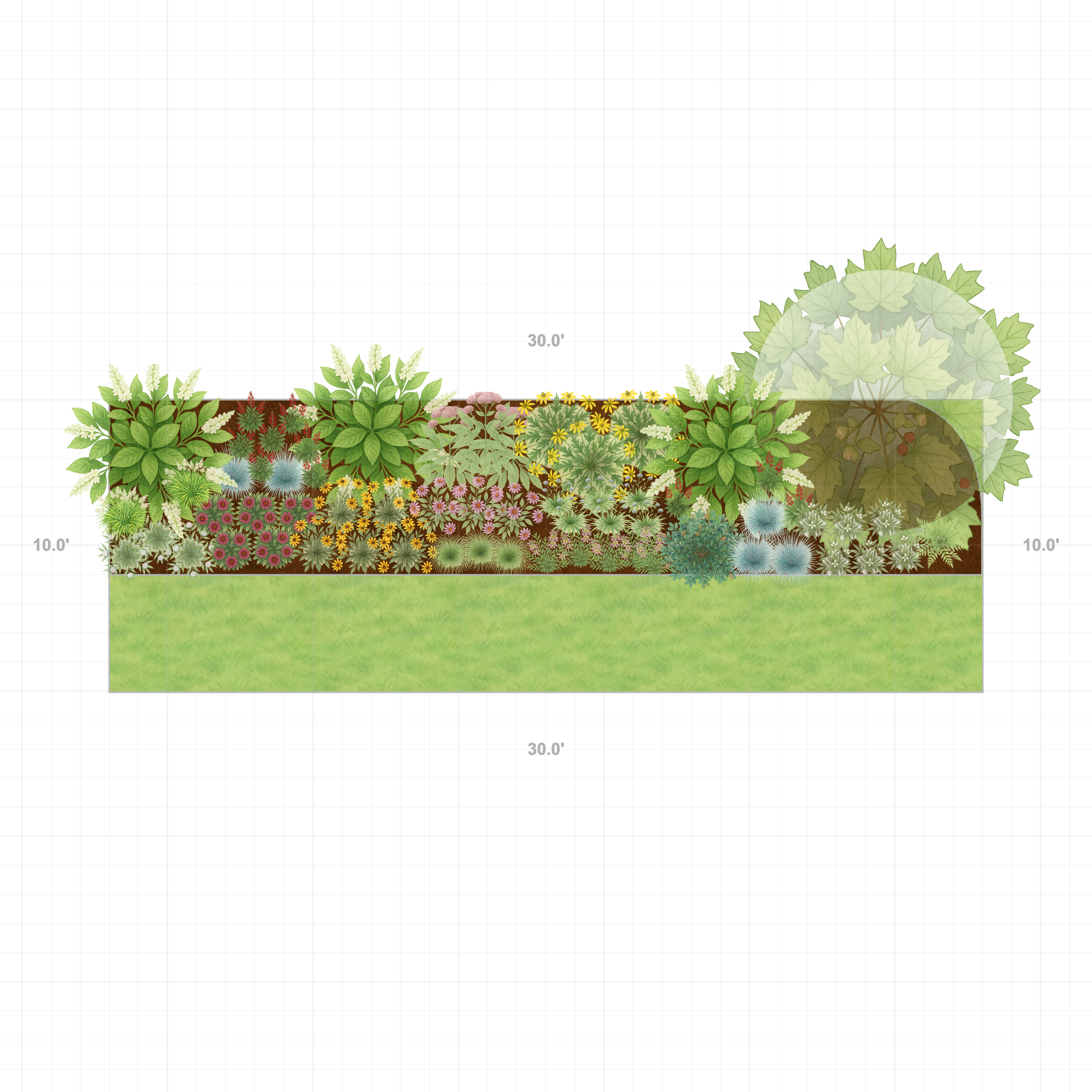 Native Border Garden