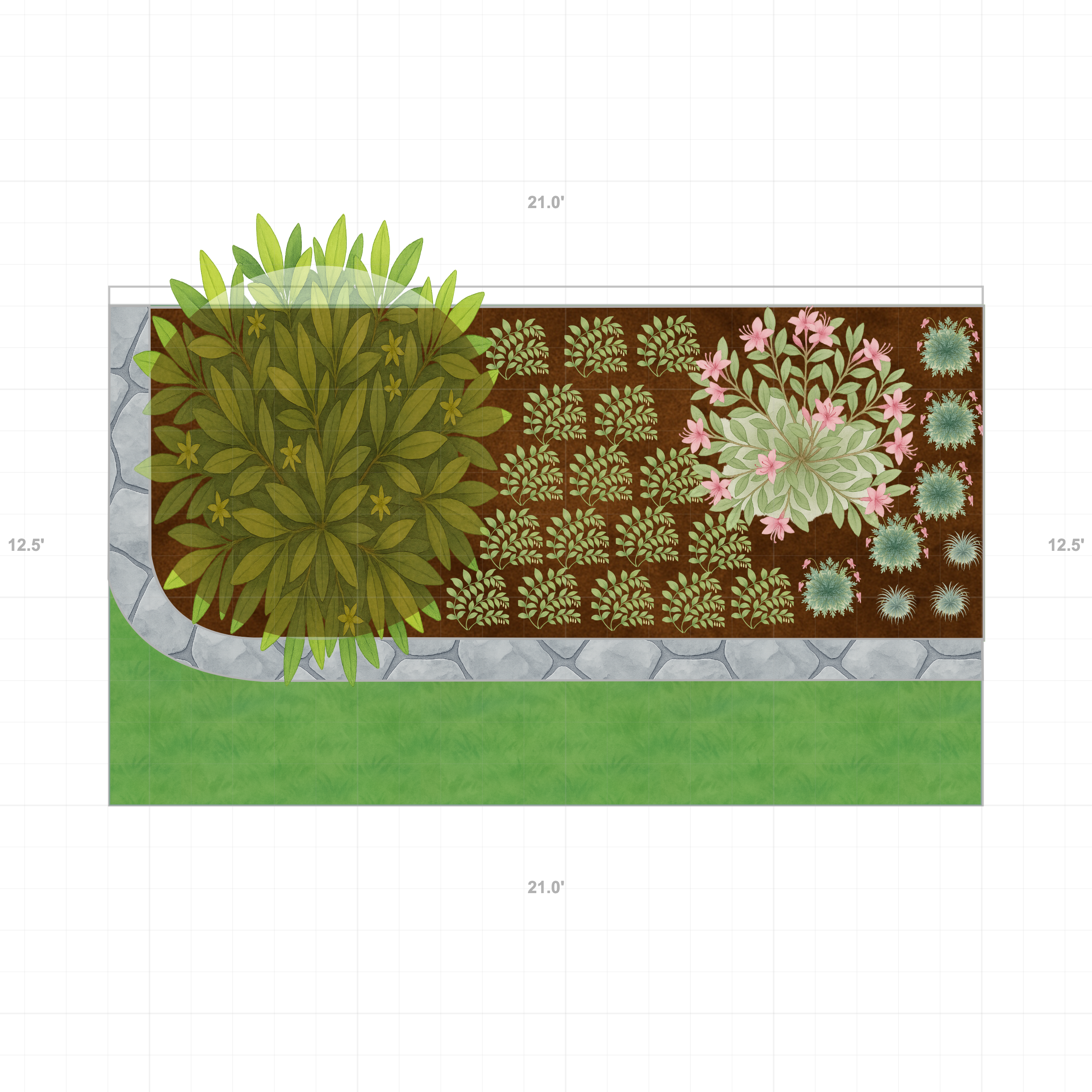 Florida Border Garden