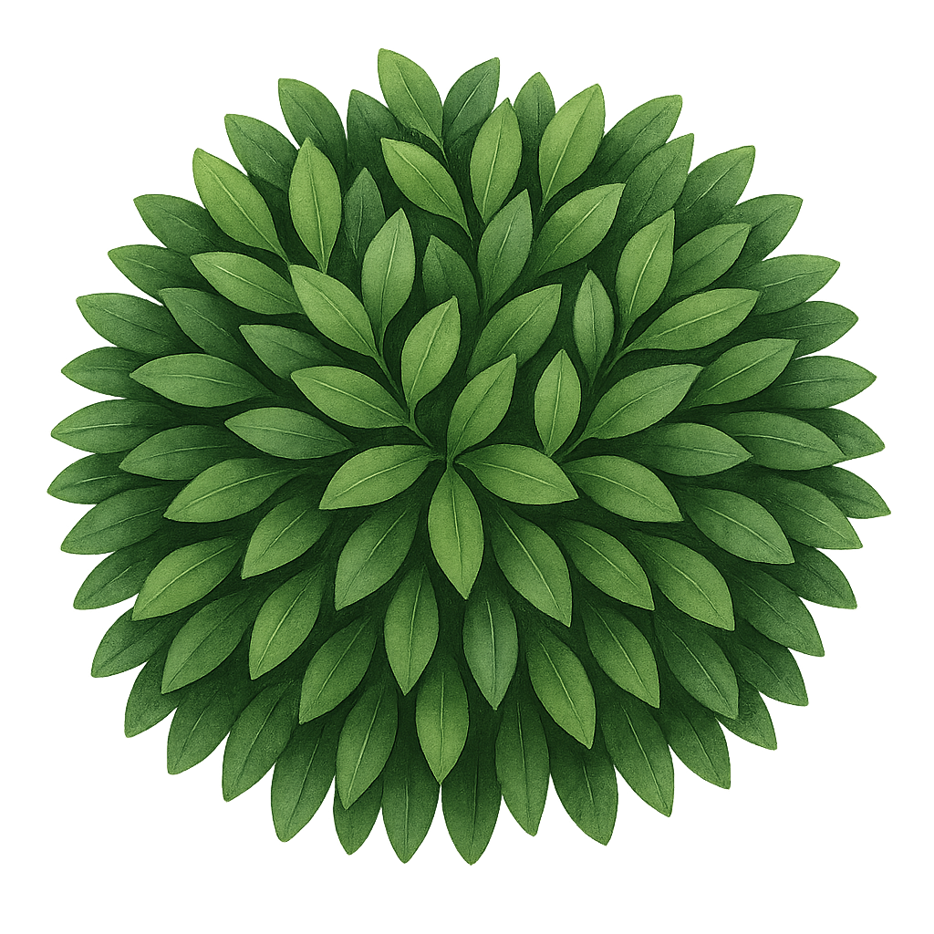Strongbox® Inkberry Holly